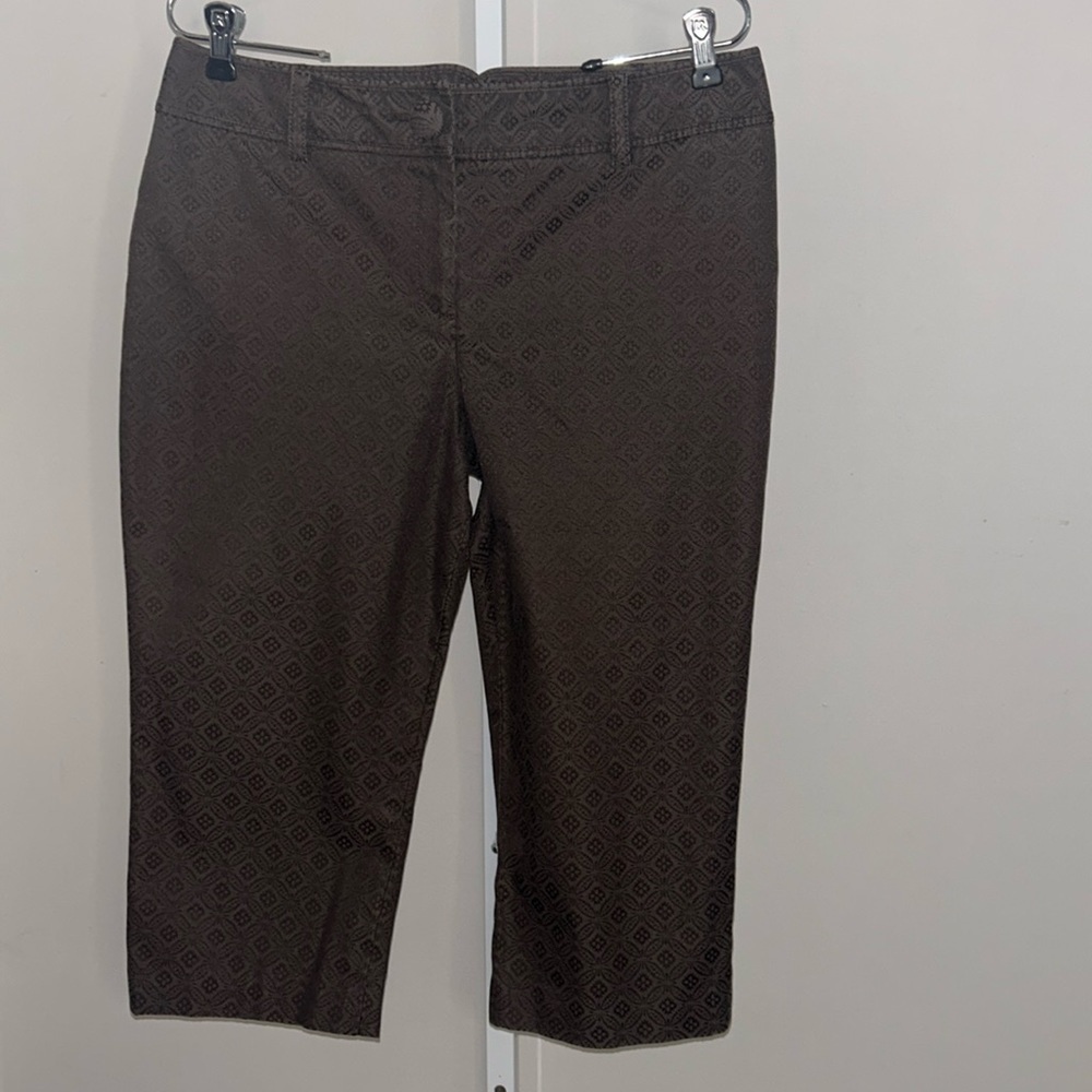 Ann Taylor Margo Jacquard Capris Size 10 Petite